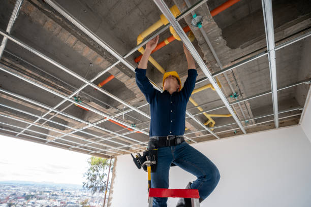 Best Same-Day Plumbing Service  in Longwood, FL